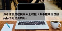派币注册流程视频大全教程（派币在中国注册商标了吗是真的吗）