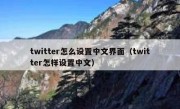 twitter怎么设置中文界面（twitter怎样设置中文）