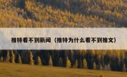 推特看不到新闻（推特为什么看不到推文）