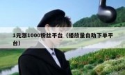 1元涨1000粉丝平台（播放量自助下单平台）