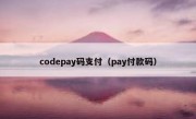 codepay码支付（pay付款码）