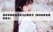 推特有哪些值得关注的黄账号（推特网黄有哪些账号）