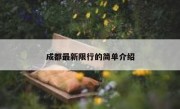 成都最新限行的简单介绍