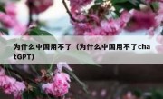 为什么中国用不了（为什么中国用不了chatGPT）