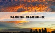 快手咋加粉丝（快手咋加粉丝群）