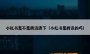 小红书是不是腾讯旗下（小红书是腾讯的吗）