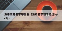 派币改完名字哪里看（派币名字错了能过kyc吗）