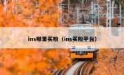ins哪里买粉（ins买粉平台）