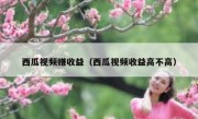 西瓜视频赚收益（西瓜视频收益高不高）