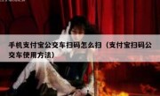 手机支付宝公交车扫码怎么扫（支付宝扫码公交车使用方法）