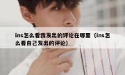 ins怎么看我发出的评论在哪里（ins怎么看自己发出的评论）