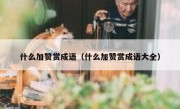 什么加赞赏成语（什么加赞赏成语大全）