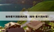 推特看不到新闻内容（推特 看不到内容）