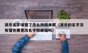 派币名字填错了怎么改回来呢（派币的名字没有错也要更改名字和邮箱吗）