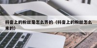 抖音上的粉丝是怎么弄的（抖音上的粉丝怎么来的）
