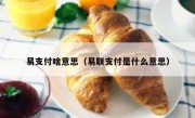 易支付啥意思（易联支付是什么意思）