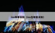 ins哪里买粉（ins在哪里买粉）