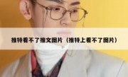 推特看不了推文图片（推特上看不了图片）