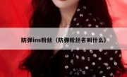 防弹ins粉丝（防弹粉丝名叫什么）