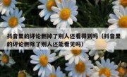 抖音里的评论删掉了别人还看得到吗（抖音里的评论删除了别人还能看见吗）