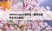twitterspace没声音（推特没有声音怎么回事）