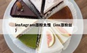 instagram涨粉太慢（ins涨粉丝）