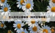 怎么样可以看推特（如何在推特看）