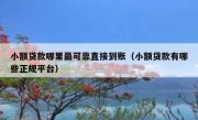 小额贷款哪里最可靠直接到账（小额贷款有哪些正规平台）