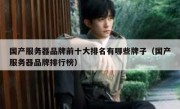 国产服务器品牌前十大排名有哪些牌子（国产服务器品牌排行榜）