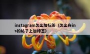 instagram怎么加标签（怎么在ins的帖子上加标签）