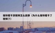 推特看不到视频怎么回事（为什么推特看不了视频了）