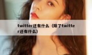 twitter还有什么（除了twitter还有什么）