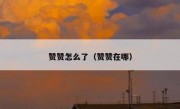 赞赞怎么了（赞赞在哪）