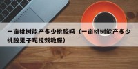 一亩桃树能产多少桃胶吗（一亩桃树能产多少桃胶果子呢视频教程）