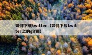 如何下载twitter（如何下载twitter上的gif图）