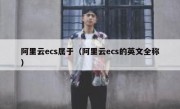 阿里云ecs属于（阿里云ecs的英文全称）