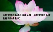 手机微博怎么改名称和头像（手机微博怎么改名称和头像名字）