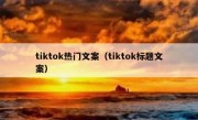 tiktok热门文案（tiktok标题文案）