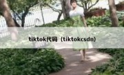 tiktok代码（tiktokcsdn）