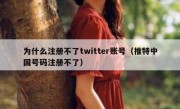 为什么注册不了twitter账号（推特中国号码注册不了）
