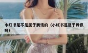 小红书是不是属于腾讯的（小红书是属于腾讯吗）