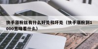 快手涨粉丝有什么好处和坏处（快手涨粉到1000意味着什么）