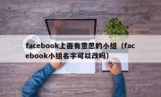 facebook上面有意思的小组（facebook小组名字可以改吗）