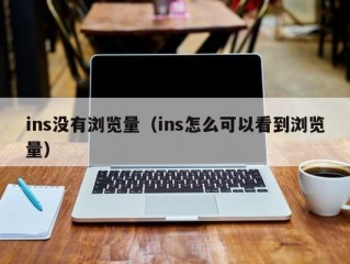 ins没有浏览量（ins怎么可以看到浏览量）