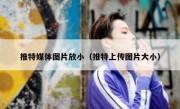 推特媒体图片放小（推特上传图片大小）