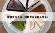 推特页面介绍（推特页面是什么样子）