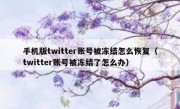 手机版twitter账号被冻结怎么恢复（twitter账号被冻结了怎么办）