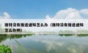推特没有推送通知怎么办（推特没有推送通知怎么办啊）