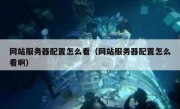 网站服务器配置怎么看（网站服务器配置怎么看啊）