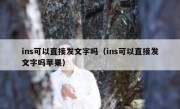 ins可以直接发文字吗（ins可以直接发文字吗苹果）